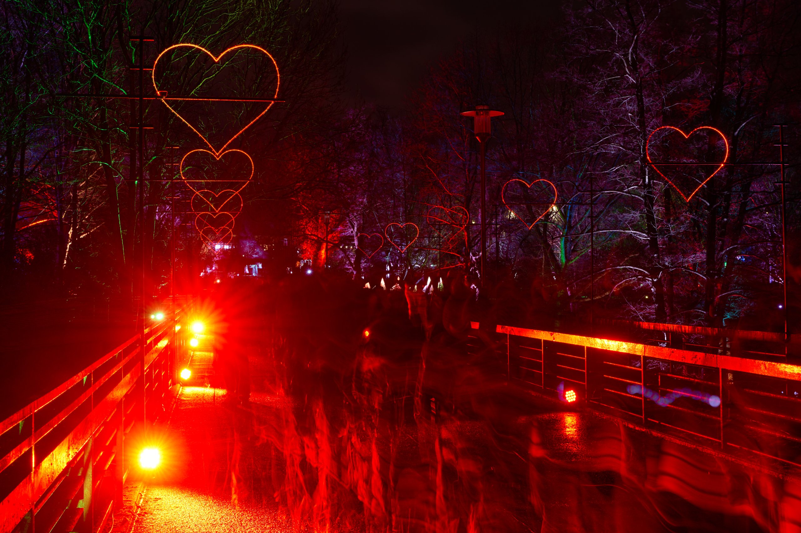 2024 02 23 Parkleuchten 0183